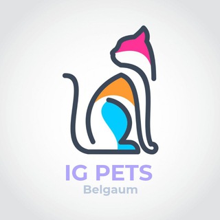 Telegram profile photo for Ig pets