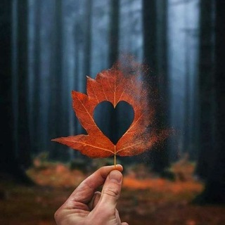 Telegram profile photo for همس الحب