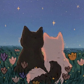 Telegram profile photo for Maybe In Another Life..