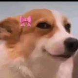 Telegram profile photo for πΎπππππ π€π»