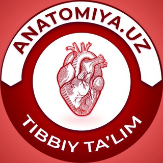 Telegram profile photo for Anatomiya.uz o‘quv kursi