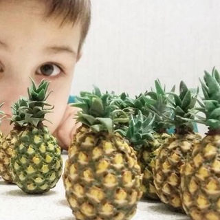 Telegram profile photo for Мини_фрукт