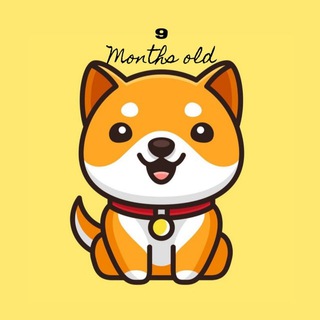 Telegram profile photo for Baby Doge Coin