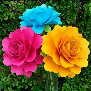 Telegram profile photo for سه گانی های صفیه قومنجانی