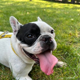 Telegram profile photo for Сейлик