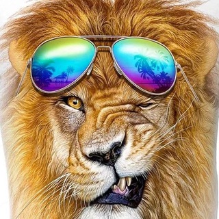 Telegram profile photo for МегаМесто