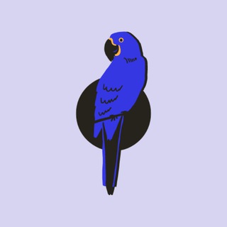 Telegram group profile photo for Papegaai Chat