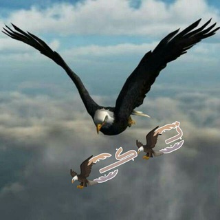 Telegram profile photo for تـ͜͡ـ͜͡🦅ڪــ͜͡ـ͜͡🦅 