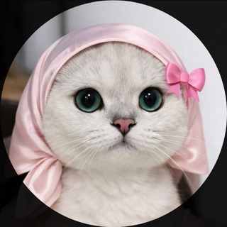 Telegram profile photo for You and me🫀
