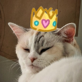 Telegram profile photo for Вас много, а я одна