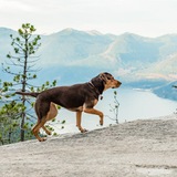 Telegram profile photo for Путь Домой Ванино