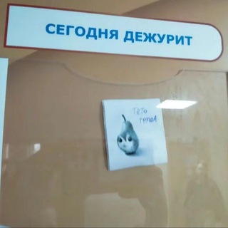 Telegram profile photo for И стоило ли это того?