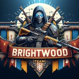 Telegram profile photo for Брайт вещает