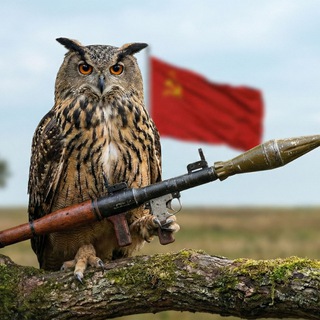 Telegram profile photo for МУДРА САВА КПСС🇺🇦