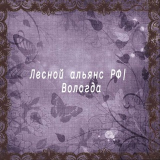 Telegram profile photo for Лесной альянс РФ|Вологда!.