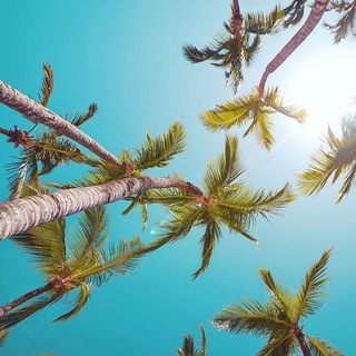 Telegram group profile photo for ✈️Пошук попутників Україна 👌