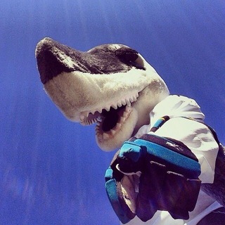 Telegram profile photo for اسپایدر وومن زمانه ات را بشناس🩵🦈