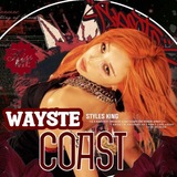Telegram profile photo for Wayste Coast Info.