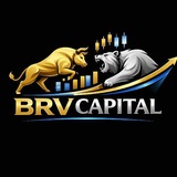 Telegram profile photo for BRV CAPITAL