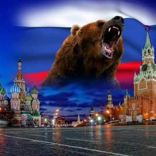 Telegram profile photo for Военные новости, сводки из "горячих точек"