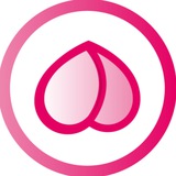 Telegram profile photo for FansGuide.io