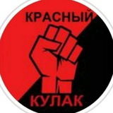 Telegram profile photo for Народный кулак ✊