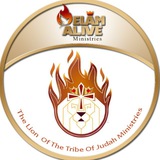 Telegram profile photo for ᴛʜᴇ ʟɪᴏɴ ᴏғ ᴛʜᴇ ᴛʀɪʙᴇ ᴏғ ᴊᴜᴅᴀʜ MINISTRIES