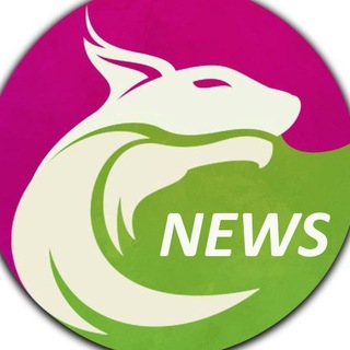 Telegram profile photo for eWallet-Optimizer News