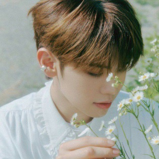 Telegram profile photo for переезд mint ‘🌿 — lovespace