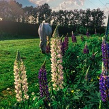 Telegram profile photo for 🐎Конный Двор «Савраска»🐎