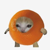 Telegram profile photo for Мандарин 🍊