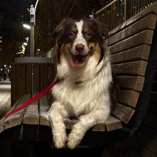 Telegram profile photo for Дынька колхозница🍈