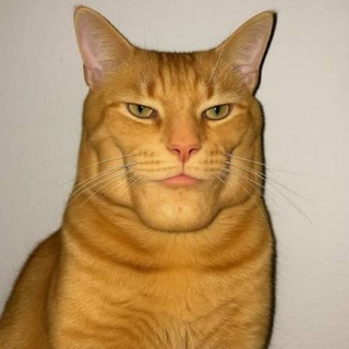 Telegram profile photo for $GIGACAT PORTAL