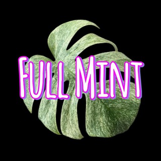 Telegram profile photo for Full Mint 🍀 растения | коты