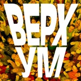 Telegram profile photo for ВЕРХУМ