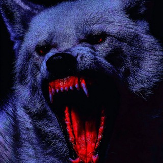 Telegram profile photo for ๐ฟ๐Wo.lf_wo lk006๐๐ฟ