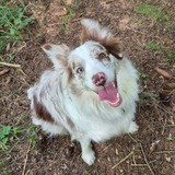 Telegram profile photo for Наркоз под Ланью