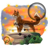 Telegram profile photo for Инфо центр по рп|•~