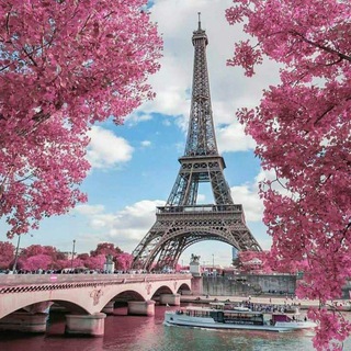 Telegram profile photo for Français avec nous