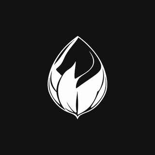 Telegram profile photo for TYPE SEED SOFTWARE