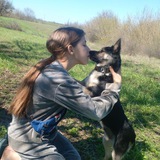 Telegram profile photo for Лапушки Кнопушки🐾