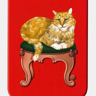 Telegram profile photo for Все котята Твери