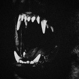 Telegram profile photo for BloodHounds.