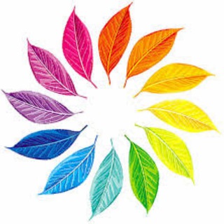 Telegram profile photo for دیدنیها
