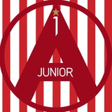 Telegram profile photo for 🇩🇰 «А1 Junior»|Рофл-футбольный клуб