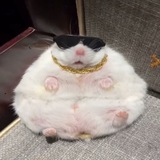 Telegram profile photo for Братский сарай
