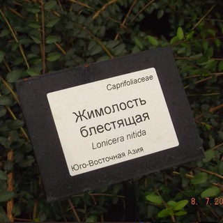 Telegram profile photo for выход здесь❗️