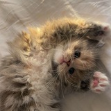 Telegram profile photo for Дети Кристины 🤗💗