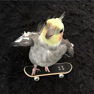 Telegram profile photo for Результаты ебене в рот