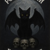 Telegram profile photo for 🖤 Розыгрыши от Fallen Cats & Xfight 🖤